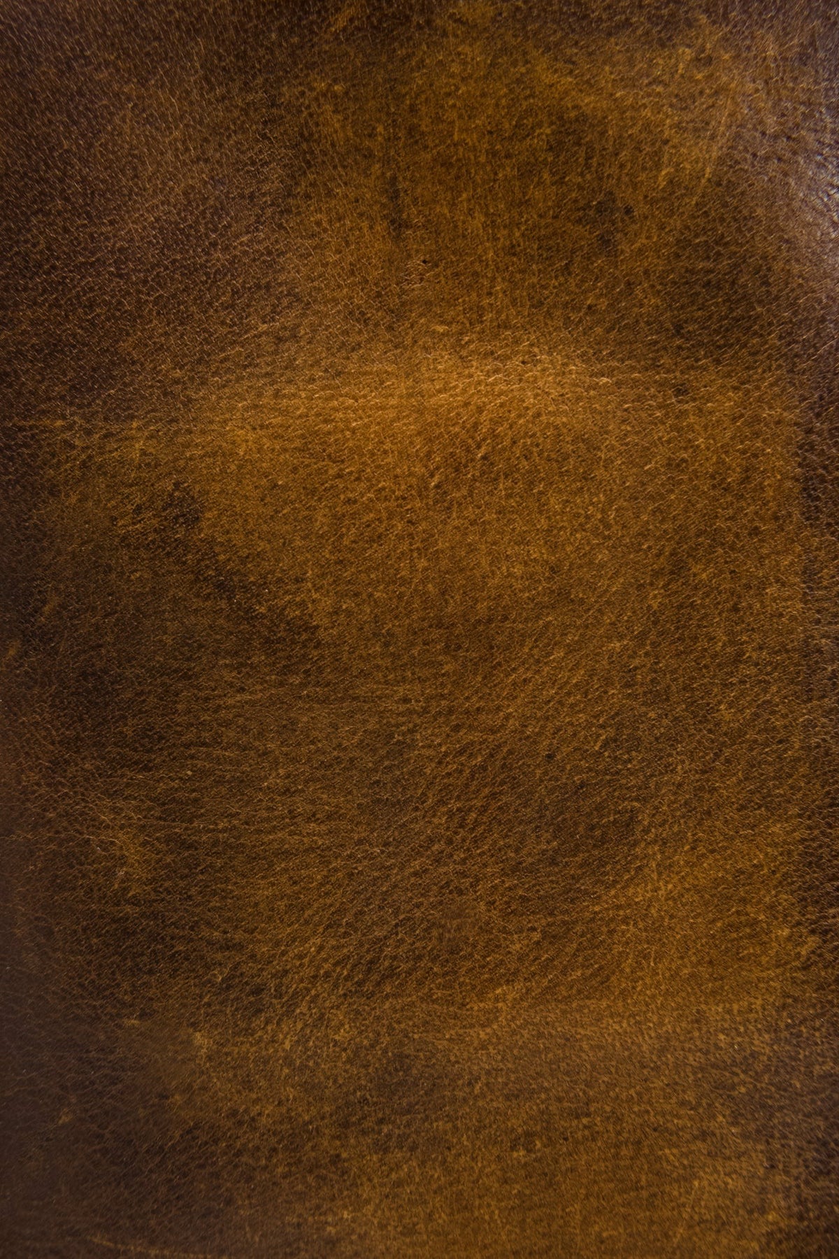 FRYE Melissa Dark Brown Wristlet