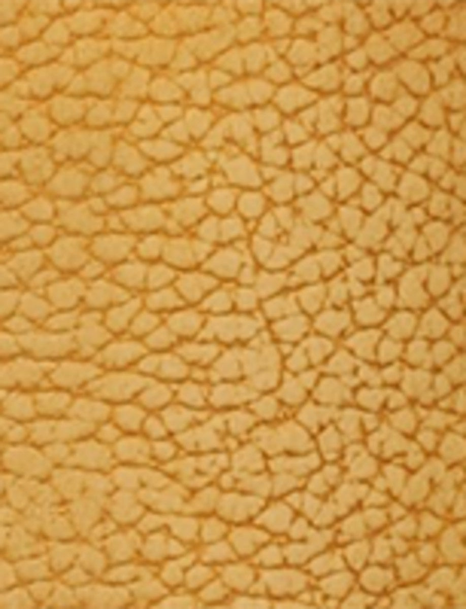 FRYE Women's Banana Mustang 15L Tall Boot