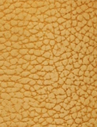 FRYE Women's Banana Mustang 15L Tall Boot