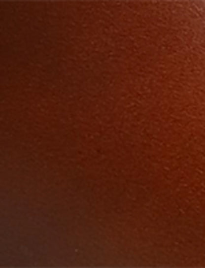 FRYE Women's Saddle Campus Buckle Boot