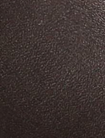 FRYE Women's Dark Brown Melissa Shootie 2 Boot