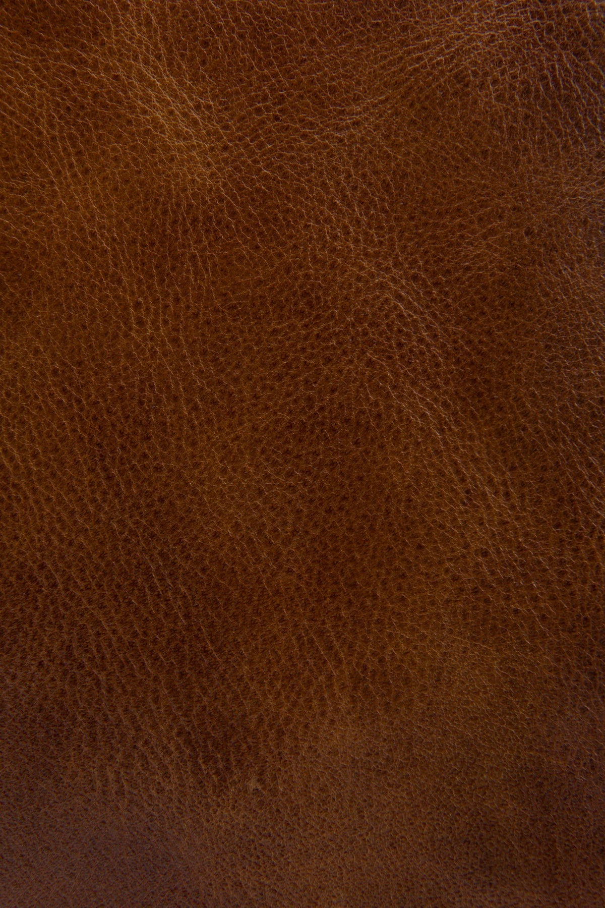 FRYE Melissa Cognac Zip Crossbody