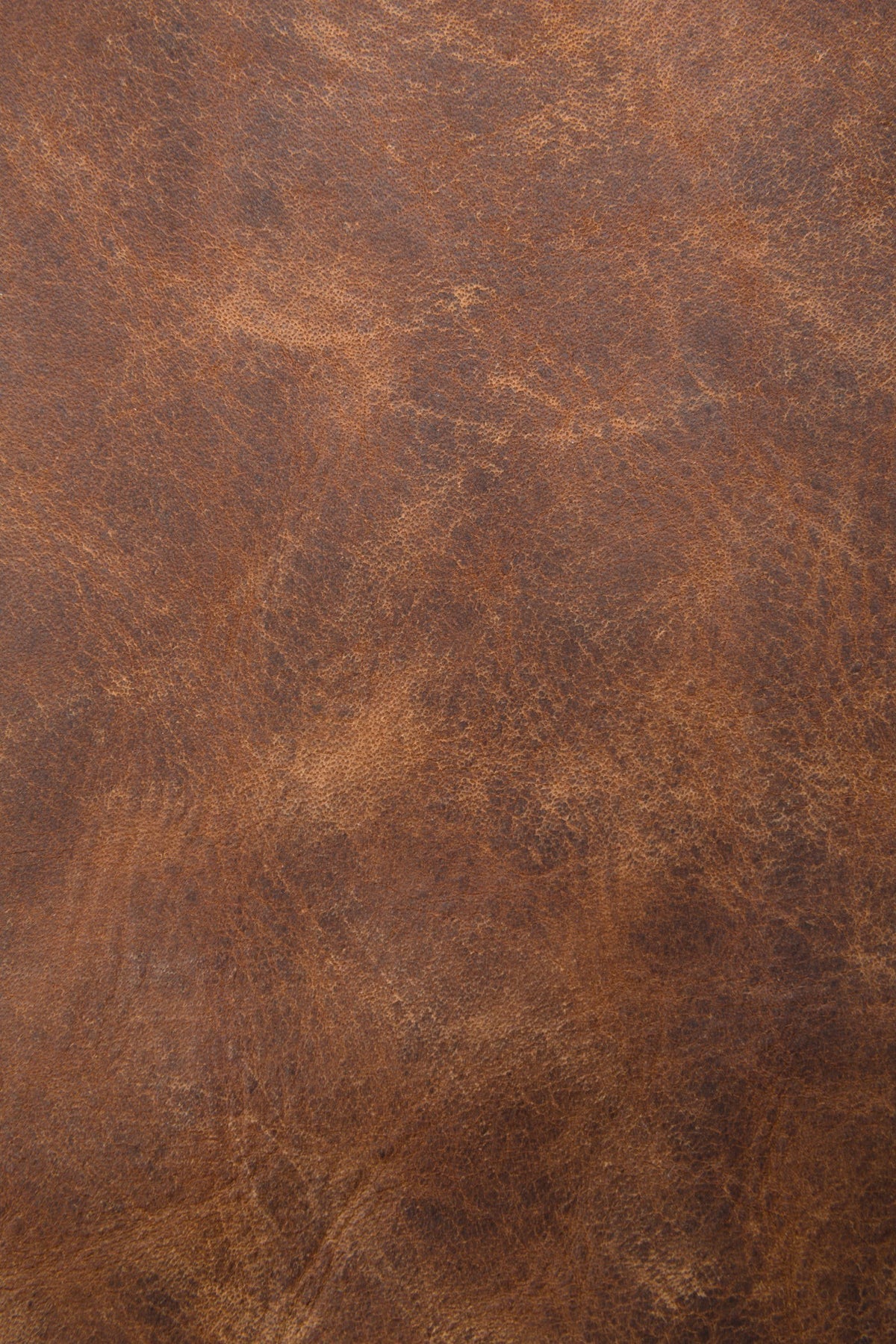 FRYE Melissa Cognac Hobo