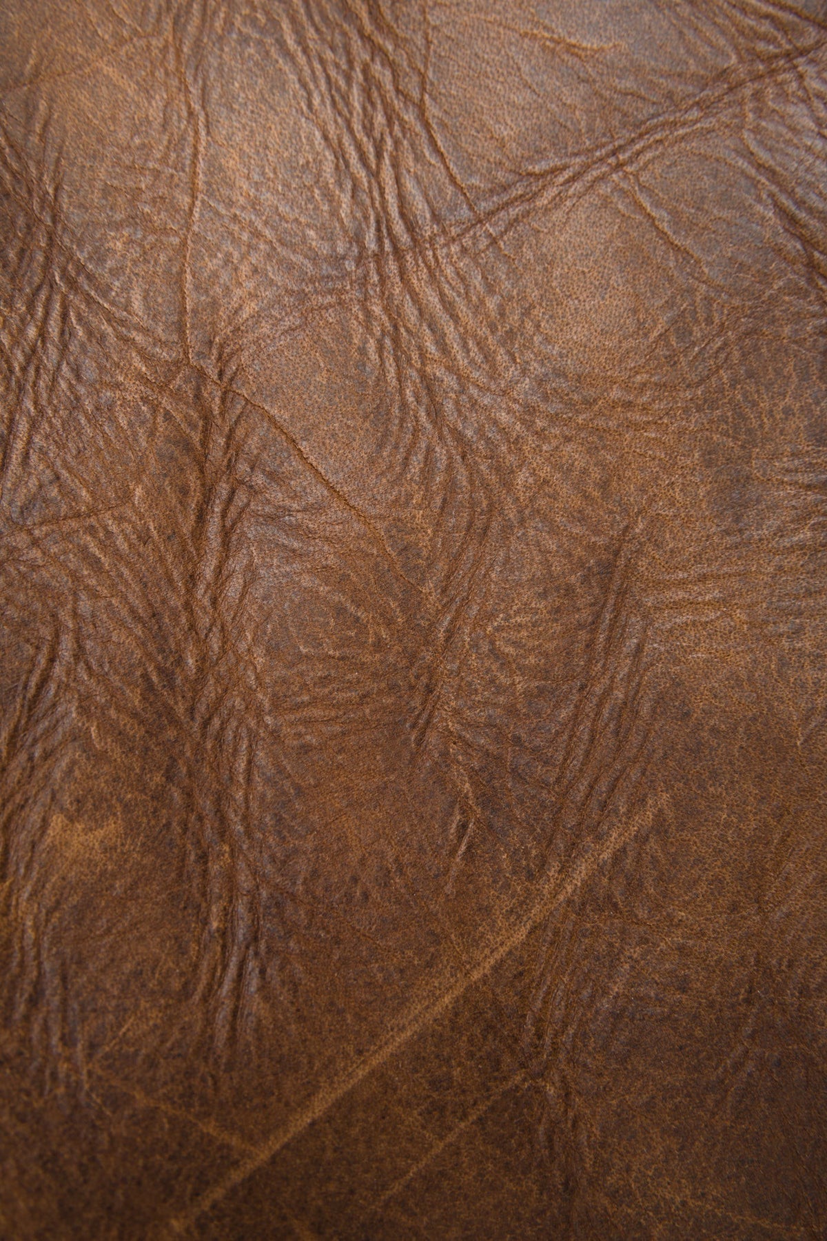 FRYE Melissa Dark Brown Satchel