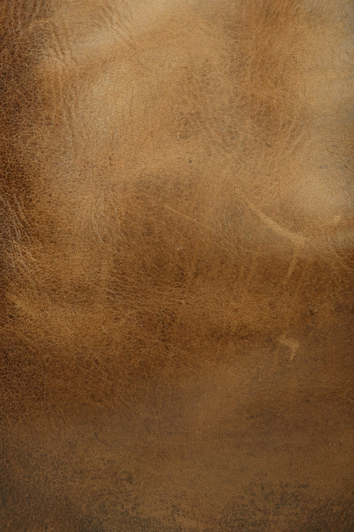 FRYE Melissa Cognac Tote