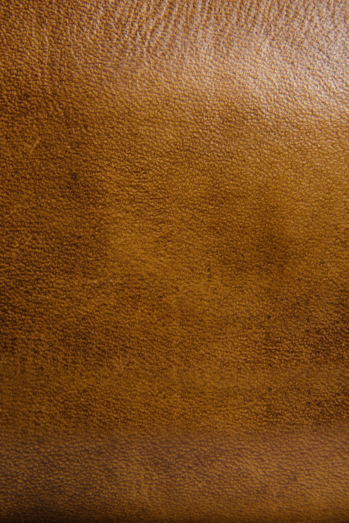 FRYE Melissa Beige Zip Wallet