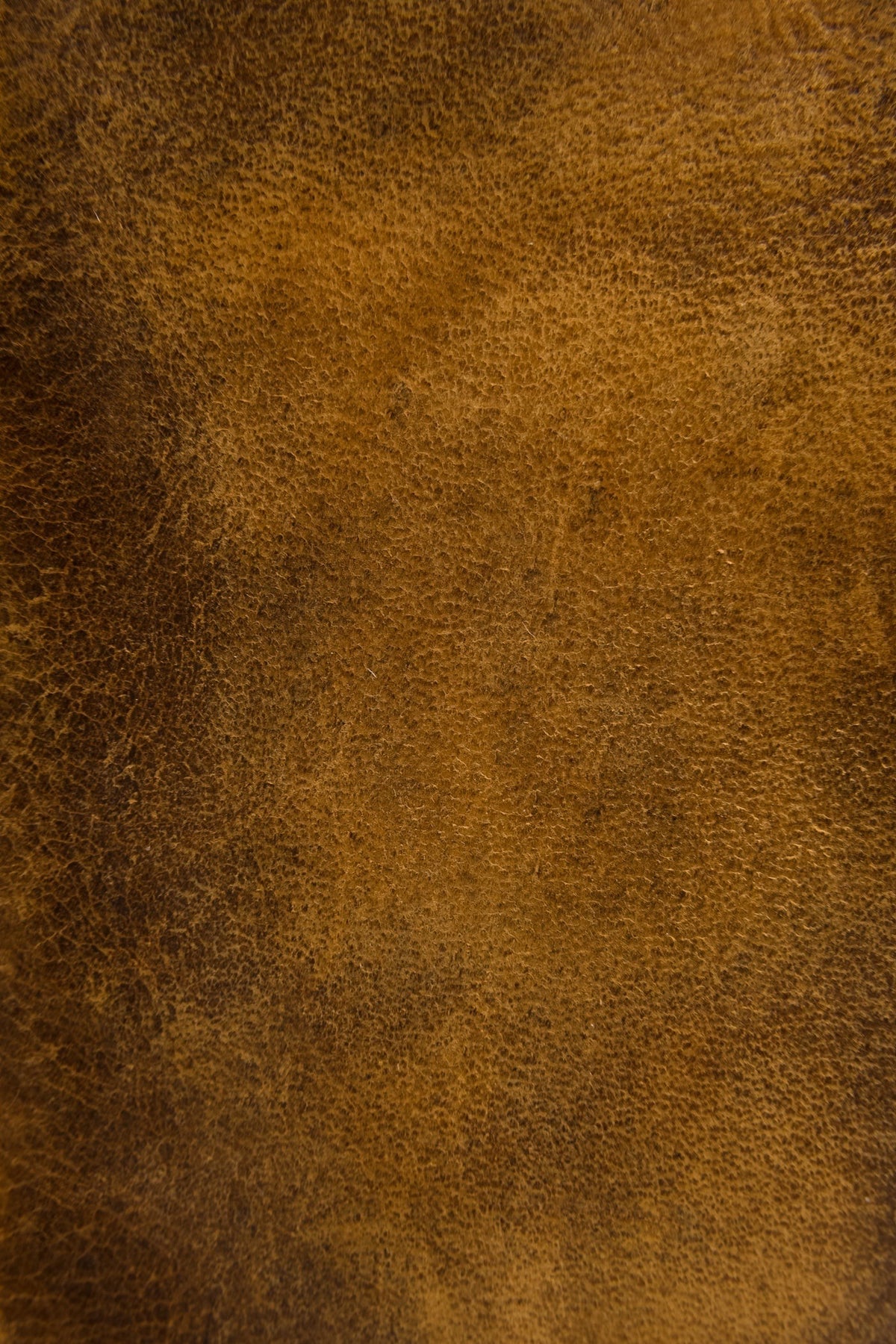 FRYE Melissa Cognac Wristlet
