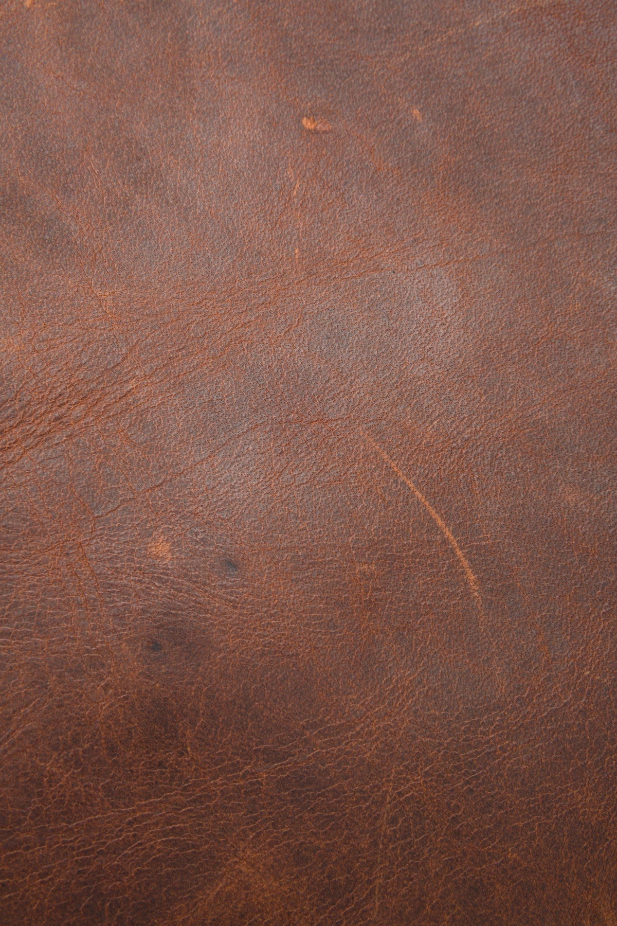 FRYE Logan Cognac Backpack