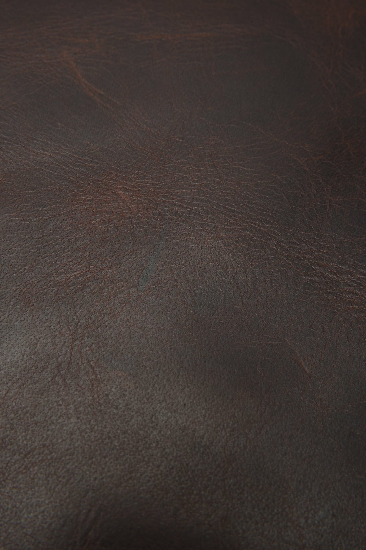 FRYE Logan Dark Brown Backpack