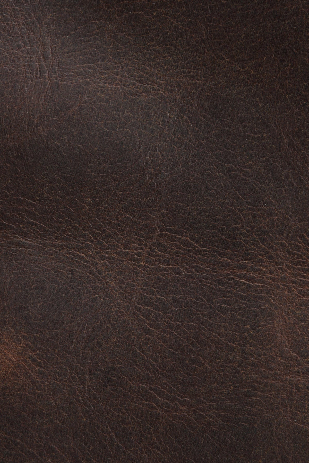 FRYE Logan Dark Brown Overnight